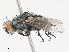  ( - CBG-A13251-D06)  @11 [ ] CreativeCommons - Attribution Share - Alike (2023) CBG Photography Group Centre for Biodiversity Genomics