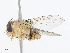  ( - CBG-A13253-C05)  @11 [ ] CreativeCommons - Attribution Share - Alike (2023) CBG Photography Group Centre for Biodiversity Genomics