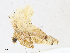 ( - CBG-A13254-F09)  @11 [ ] CreativeCommons - Attribution Share - Alike (2023) CBG Photography Group Centre for Biodiversity Genomics