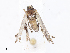  ( - CBG-A13254-H04)  @11 [ ] CreativeCommons - Attribution Share - Alike (2023) CBG Photography Group Centre for Biodiversity Genomics