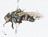  ( - CBG-A13313-C05)  @11 [ ] CreativeCommons - Attribution Share - Alike (2023) CBG Photography Group Centre for Biodiversity Genomics