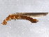  ( - BIOUG02786-A09)  @13 [ ] CreativeCommons - Attribution (2012) CBG Photography Group Centre for Biodiversity Genomics