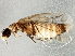  ( - BIOUG03051-D12)  @14 [ ] CreativeCommons - Attribution (2013) CBG Photography Group Centre for Biodiversity Genomics