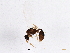  ( - BIOUG05036-G02)  @13 [ ] CreativeCommons - Attribution (2013) CBG Photography Group Centre for Biodiversity Genomics