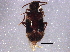  ( - BIOUG07111-A01)  @13 [ ] CreativeCommons - Attribution (2014) CBG Photography Group Centre for Biodiversity Genomics