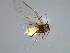  ( - BIOUG15854-A04)  @12 [ ] CreativeCommons - Attribution Non-Commercial Share-Alike (2015) Torbjorn Ekrem NTNU University Museum