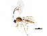  ( - BIOUG16203-B04)  @14 [ ] CreativeCommons - Attribution (2015) CBG Photography Group Centre for Biodiversity Genomics