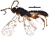  ( - BIOUG17065-G11)  @14 [ ] CreativeCommons - Attribution (2015) CBG Photography Group Centre for Biodiversity Genomics