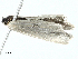  ( - BIOUG91331-C05)  @11 [ ] CreativeCommons - Attribution (2022) CBG Photography Group Centre for Biodiversity Genomics