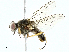  ( - BIOUG91332-A05)  @11 [ ] CreativeCommons - Attribution (2022) CBG Photography Group Centre for Biodiversity Genomics
