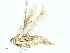  ( - BIOUG91332-E09)  @11 [ ] CreativeCommons - Attribution (2022) CBG Photography Group Centre for Biodiversity Genomics