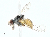  ( - BIOUG91333-E05)  @11 [ ] CreativeCommons - Attribution (2022) CBG Photography Group Centre for Biodiversity Genomics