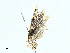  ( - BIOUG91336-G04)  @11 [ ] CreativeCommons - Attribution (2022) CBG Photography Group Centre for Biodiversity Genomics