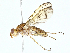  ( - BIOUG91337-D04)  @11 [ ] CreativeCommons - Attribution (2022) CBG Photography Group Centre for Biodiversity Genomics