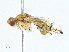  ( - BIOUG91339-F03)  @11 [ ] CreativeCommons - Attribution (2023) CBG Photography Group Centre for Biodiversity Genomics