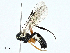  ( - BIOUG97777-F09)  @11 [ ] CreativeCommons - Attribution (2023) CBG Photography Group Centre for Biodiversity Genomics