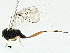  ( - BIOUG97777-G01)  @11 [ ] CreativeCommons - Attribution (2023) CBG Photography Group Centre for Biodiversity Genomics