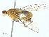  ( - BIOUG97778-A07)  @11 [ ] CreativeCommons - Attribution (2023) CBG Photography Group Centre for Biodiversity Genomics