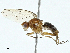  ( - BIOUG97778-A11)  @11 [ ] CreativeCommons - Attribution (2023) CBG Photography Group Centre for Biodiversity Genomics