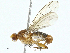  ( - BIOUG97778-B04)  @11 [ ] CreativeCommons - Attribution (2023) CBG Photography Group Centre for Biodiversity Genomics