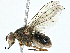  ( - BIOUG97778-D03)  @11 [ ] CreativeCommons - Attribution (2023) CBG Photography Group Centre for Biodiversity Genomics