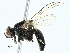  ( - BIOUG97778-D08)  @11 [ ] CreativeCommons - Attribution (2023) CBG Photography Group Centre for Biodiversity Genomics