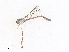  ( - CBG-A30139-H01)  @11 [ ] CreativeCommons - Attribution Share - Alike (2024) CBG Photography Group Centre for Biodiversity Genomics