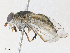  ( - CBG-A30140-F05)  @11 [ ] CreativeCommons - Attribution Share - Alike (2024) CBG Photography Group Centre for Biodiversity Genomics