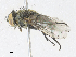  ( - CBG-A30140-F08)  @11 [ ] CreativeCommons - Attribution Share - Alike (2024) CBG Photography Group Centre for Biodiversity Genomics