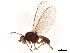 ( - BIOUG24931-D05)  @11 [ ] CreativeCommons - Attribution (2021) CBG Photography Group Centre for Biodiversity Genomics