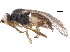  ( - BIOUG22312-B06)  @13 [ ] CreativeCommons - Attribution (2018) CBG Photography Group Centre for Biodiversity Genomics