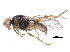  ( - BIOUG22312-F04)  @13 [ ] CreativeCommons - Attribution (2018) CBG Photography Group Centre for Biodiversity Genomics