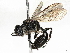  ( - BIOUG25284-H10)  @11 [ ] CreativeCommons - Attribution Share - Alike (2023) CBG Photography Group Centre for Biodiversity Genomics