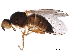  ( - BIOUG25710-G12)  @11 [ ] CreativeCommons - Attribution (2020) CBG Photography Group Centre for Biodiversity Genomics