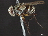  ( - BIOUG39110-G02)  @11 [ ] CreativeCommons - Attribution (2020) CBG Photography Group Centre for Biodiversity Genomics