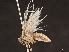  ( - BIOUG39110-G06)  @11 [ ] CreativeCommons - Attribution (2020) CBG Photography Group Centre for Biodiversity Genomics