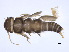  ( - BIOUG02705-E02)  @13 [ ] CreativeCommons - Attribution (2012) Gillian Martin Centre for Biodiversity Genomics