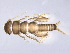  ( - BIOUG02705-E12)  @13 [ ] CreativeCommons - Attribution (2012) Gillian Martin Centre for Biodiversity Genomics