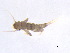  ( - BIOUG02706-F11)  @13 [ ] CreativeCommons - Attribution (2012) Gillian Martin Centre for Biodiversity Genomics