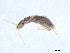  ( - BIOUG02706-G03)  @12 [ ] CreativeCommons - Attribution (2012) Gillian Martin Centre for Biodiversity Genomics
