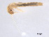  ( - BIOUG02707-A02)  @12 [ ] CreativeCommons - Attribution (2012) Gillian Martin Centre for Biodiversity Genomics