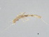 (Leuctra sp. BOLDAAB8082 - BIOUG02707-C05)  @12 [ ] CreativeCommons - Attribution (2012) Gillian Martin Centre for Biodiversity Genomics