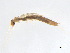  ( - BIOUG02707-C11)  @13 [ ] CreativeCommons - Attribution (2012) Gillian Martin Centre for Biodiversity Genomics