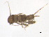  ( - BIOUG02707-F01)  @13 [ ] CreativeCommons - Attribution (2012) Gillian Martin Centre for Biodiversity Genomics