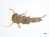 ( - BIOUG02707-F03)  @13 [ ] CreativeCommons - Attribution (2012) Gillian Martin Centre for Biodiversity Genomics