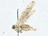  ( - BIOUG98660-D08)  @11 [ ] CreativeCommons - Attribution (2023) CBG Photography Group Centre for Biodiversity Genomics
