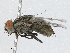  ( - BIOUG91387-B04)  @11 [ ] CreativeCommons - Attribution (2023) CBG Photography Group Centre for Biodiversity Genomics