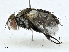  ( - BIOUG97774-G05)  @11 [ ] CreativeCommons - Attribution (2023) CBG Photography Group Centre for Biodiversity Genomics