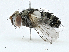  ( - BIOUG97774-G09)  @11 [ ] CreativeCommons - Attribution (2023) CBG Photography Group Centre for Biodiversity Genomics