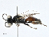  ( - CBG-A00301-F07)  @11 [ ] CreativeCommons - Attribution (2023) CBG Photography Group Centre for Biodiversity Genomics